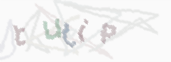 CAPTCHA image for SPAM prevention 
