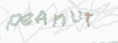CAPTCHA image for SPAM prevention 