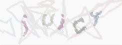 CAPTCHA image for SPAM prevention 