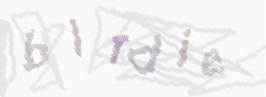 CAPTCHA image for SPAM prevention 