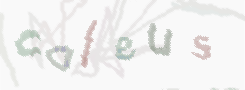 CAPTCHA image for SPAM prevention 
