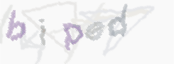 CAPTCHA image for SPAM prevention 