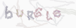 CAPTCHA image for SPAM prevention 