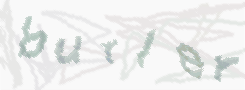 CAPTCHA image for SPAM prevention 