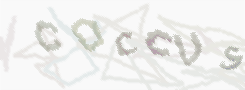 CAPTCHA image for SPAM prevention 