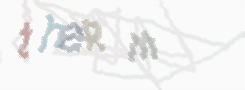 CAPTCHA image for SPAM prevention 