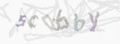 CAPTCHA image for SPAM prevention 