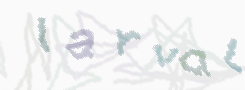 CAPTCHA image for SPAM prevention 