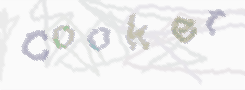 CAPTCHA image for SPAM prevention 