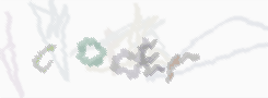 CAPTCHA image for SPAM prevention 